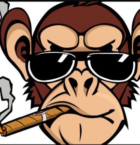 WhatsApp Image 2025-06-18 at 08.15.32